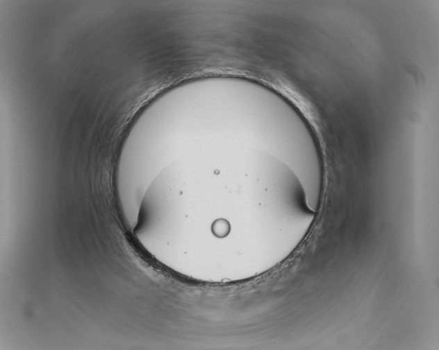 X0000111380009200908071244