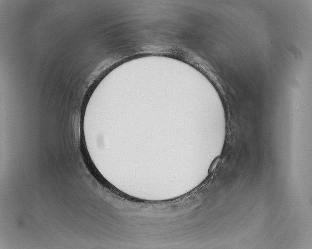 X0000111380011200908071244