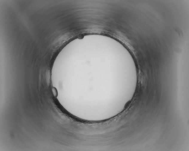 X0000111380013200908071244