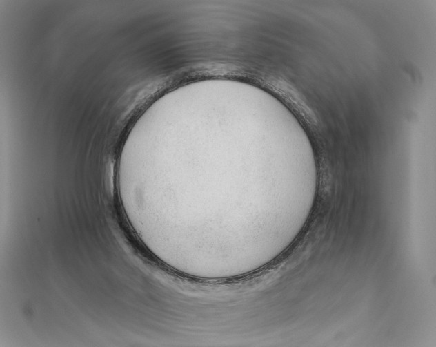 X0000111380014200908071244