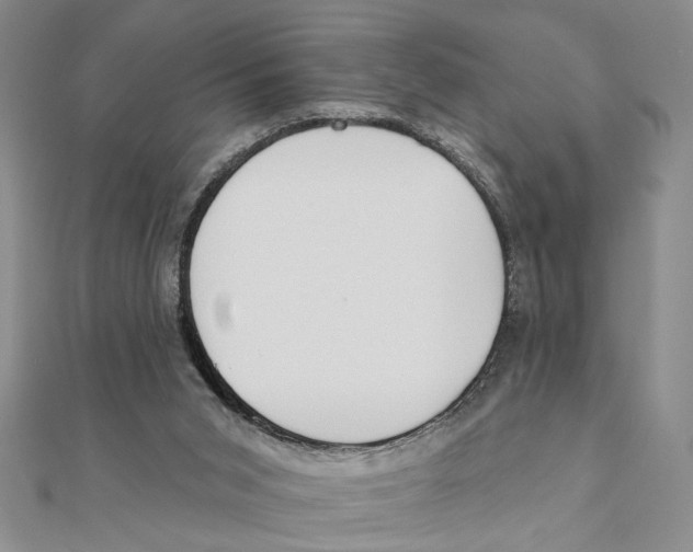 X0000111380015200908071244