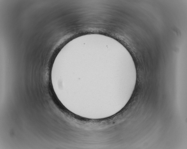 X0000111380016200908071244