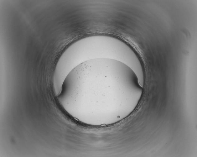 X0000111380017200908071244