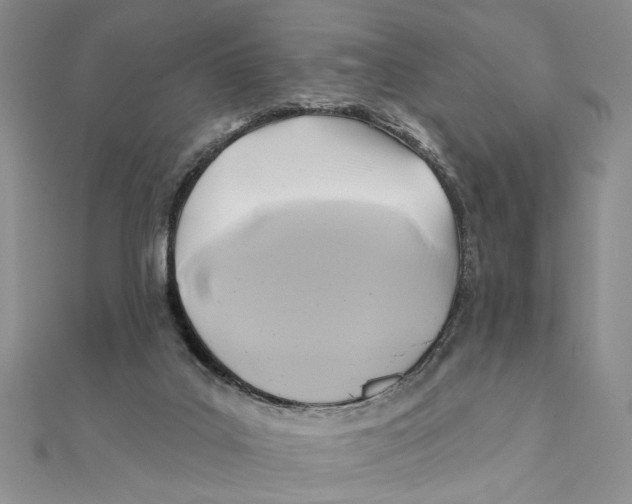 X0000111380019200908071244