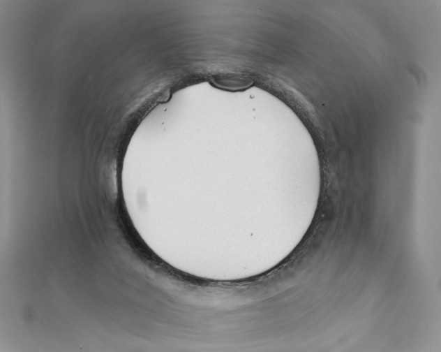 X0000111380020200908071244