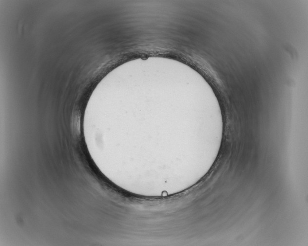 X0000111380021200908071244