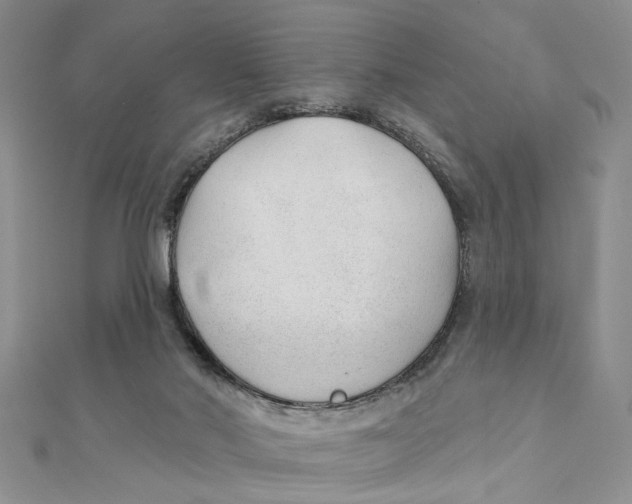 X0000111380022200908071244