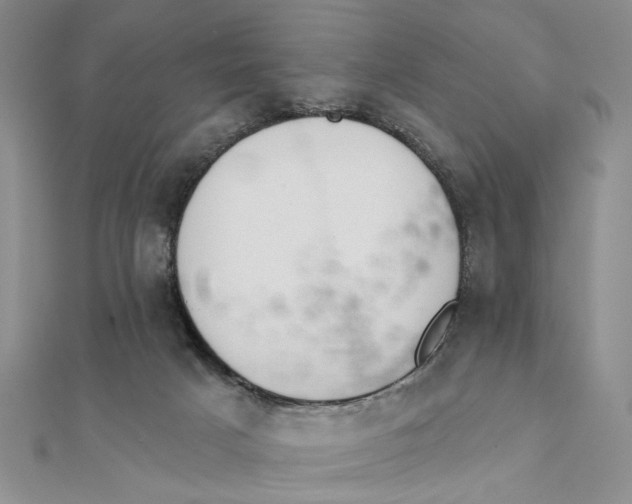 X0000111380025200908071244