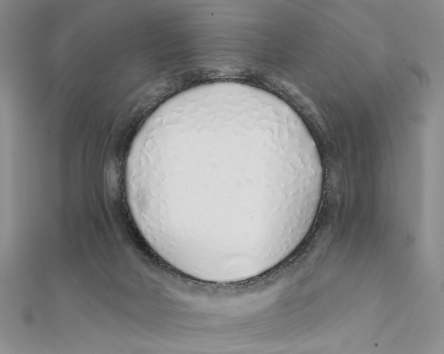 X0000111380026200908071244