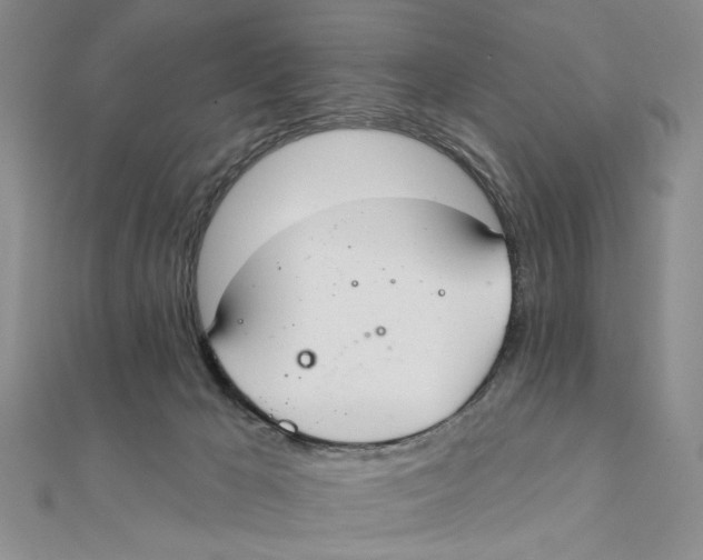 X0000111380029200908071244