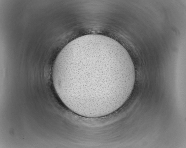 X0000111380030200908071244