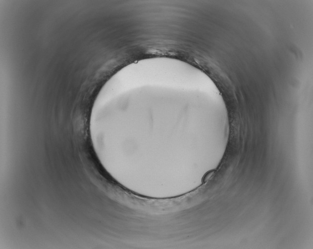 X0000111380031200908071244