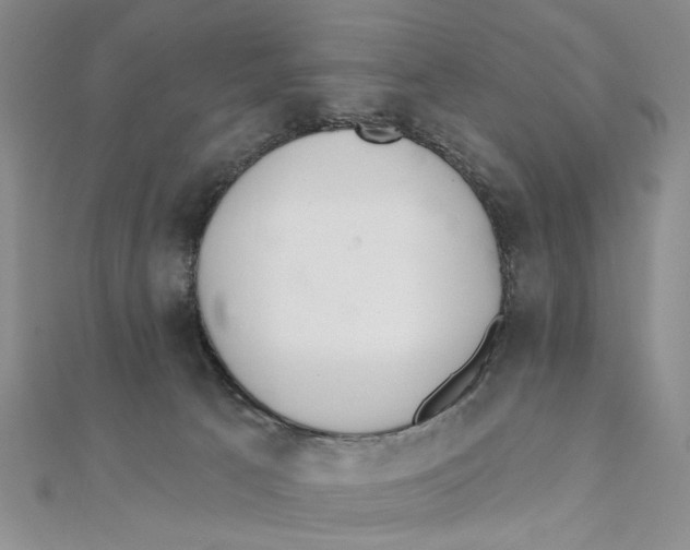 X0000111380033200908071244