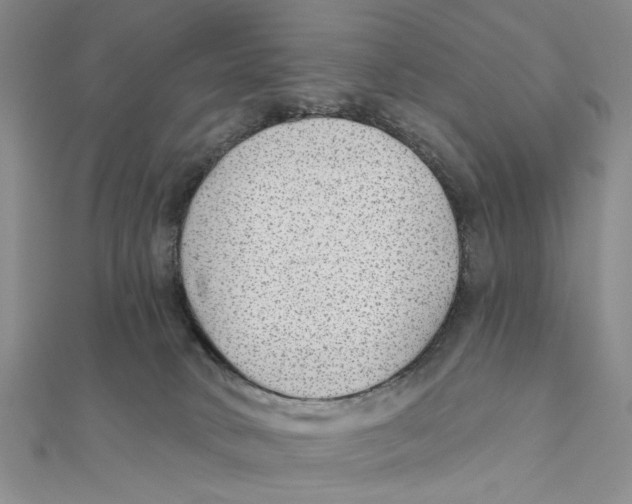 X0000111380034200908071244