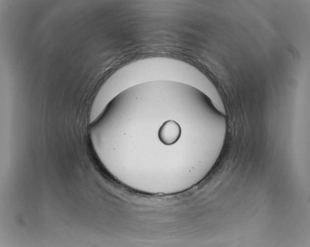 X0000111380036200908071244