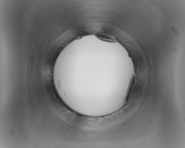 X0000111380037200908071244