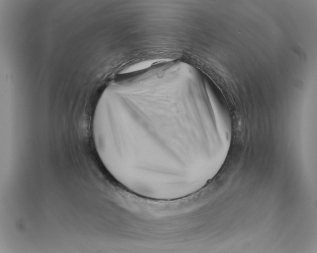 X0000111380039200908071244