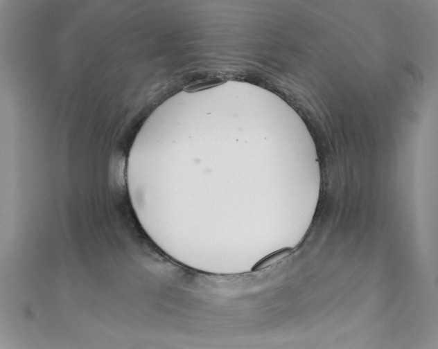 X0000111380041200908071244