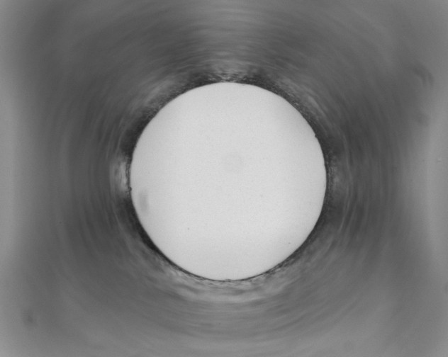 X0000111380042200908071244