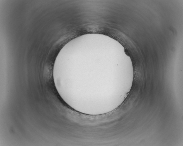 X0000111380043200908071244