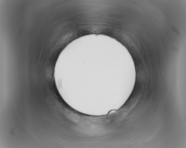 X0000111380044200908071244