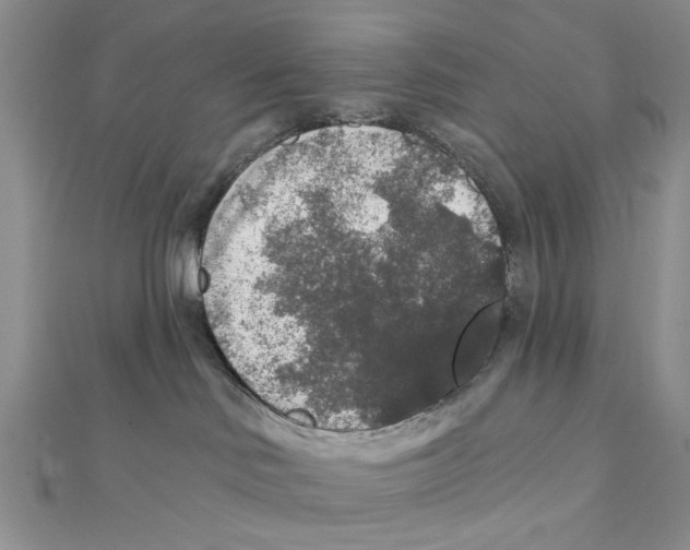 X0000111380046200908071243