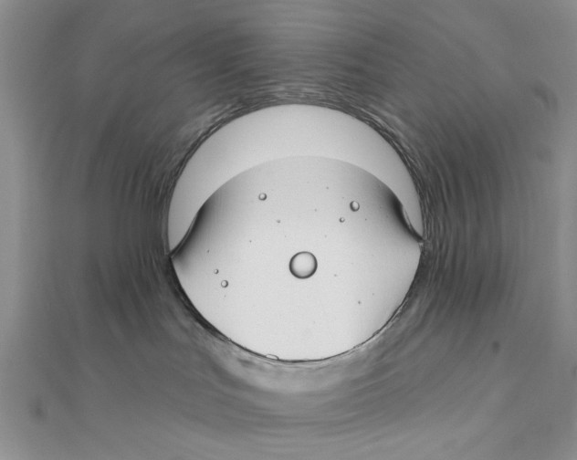 X0000111380047200908071243