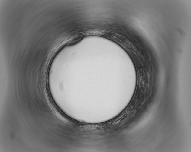 X0000111380049200908071243