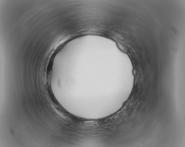 X0000111380050200908071243