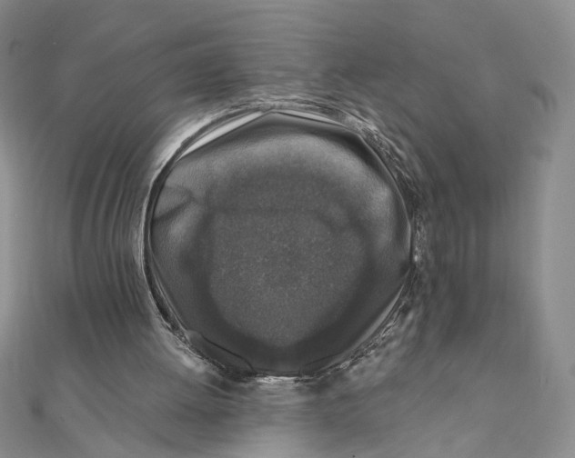 X0000111380052200908071243