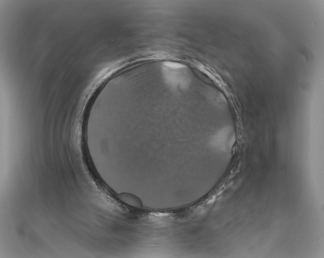 X0000111380055200908071243