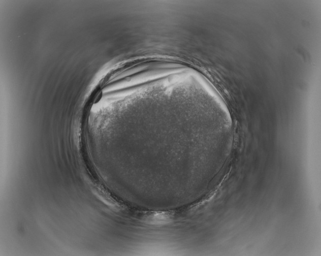 X0000111380056200908071243