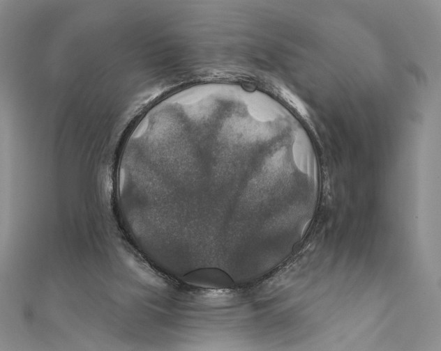 X0000111380059200908071243