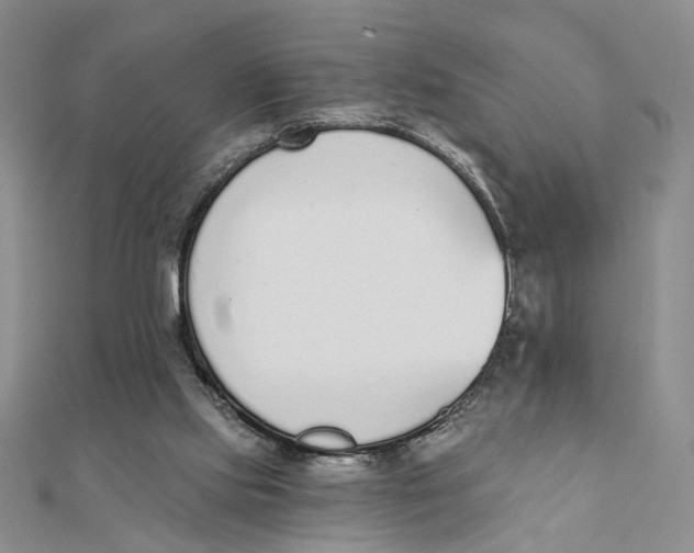 X0000111380061200908071243