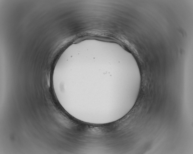 X0000111380062200908071243