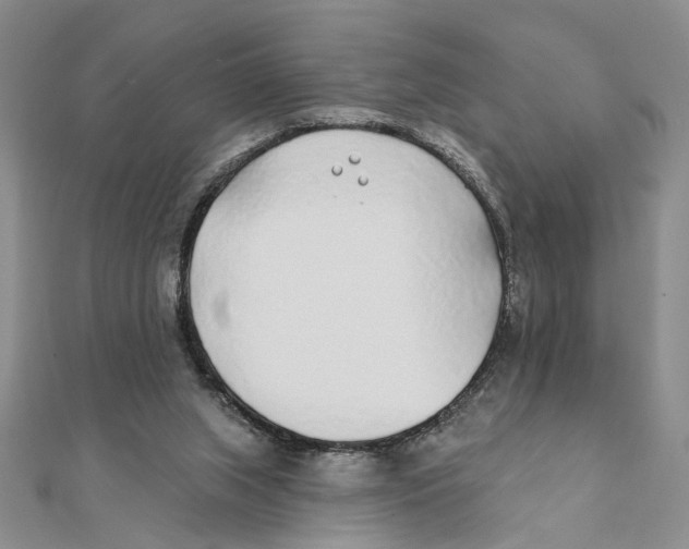 X0000111380063200908071243