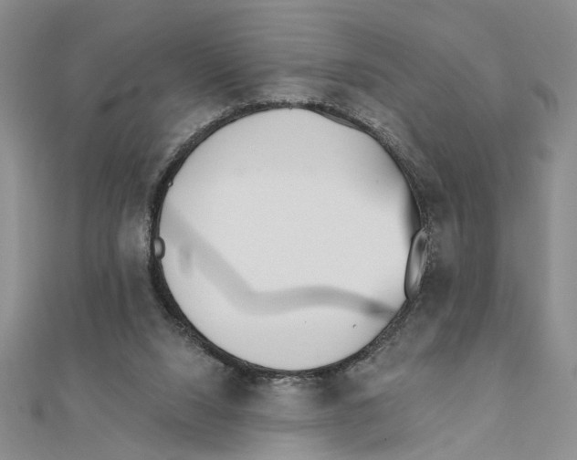 X0000111380064200908071243