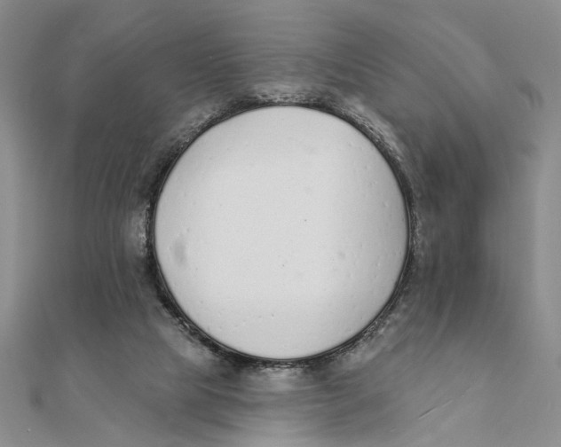 X0000111380065200908071243