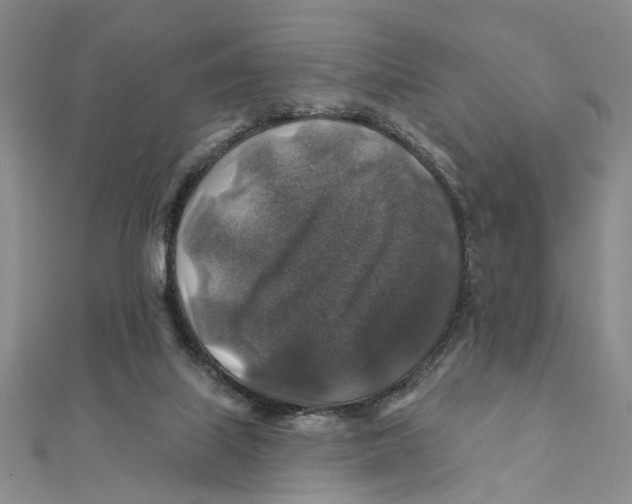 X0000111380067200908071243