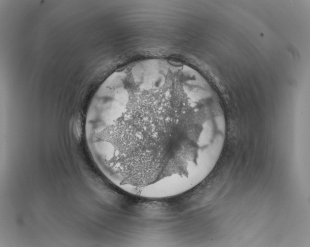 X0000111380069200908071243