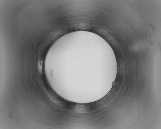 X0000111380070200908071243