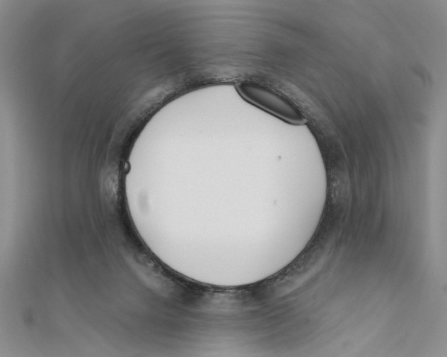 X0000111380072200908071243