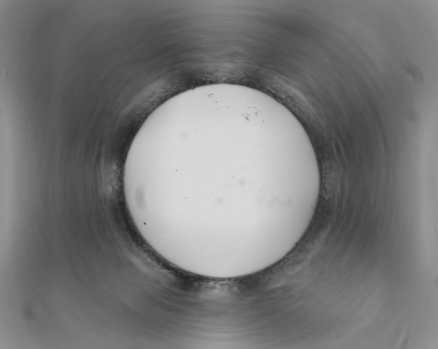 X0000111380077200908071243