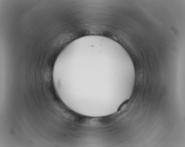 X0000111380078200908071243