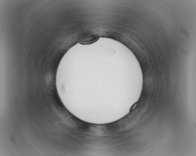 X0000111380079200908071243