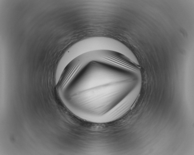 X0000111380080200908071243