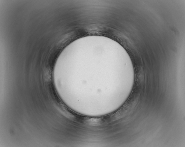 X0000111380081200908071243