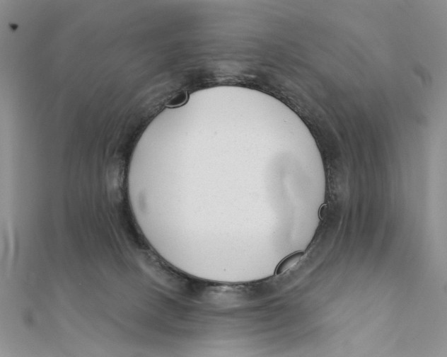 X0000111380082200908071243