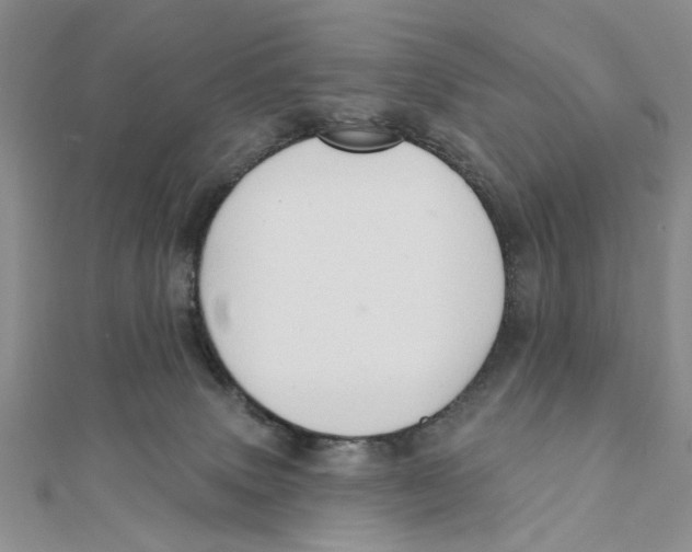 X0000111380083200908071243