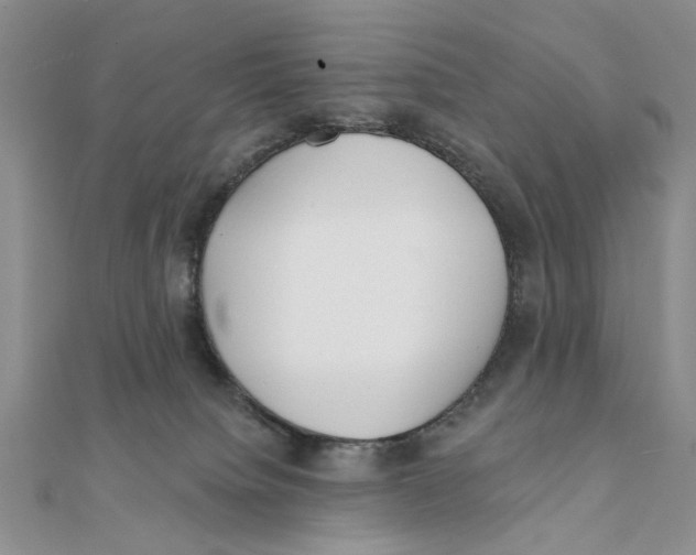 X0000111380084200908071243